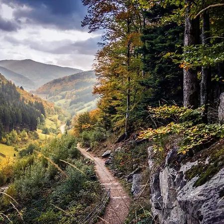 Gaestehaus Weilerhof - شقة