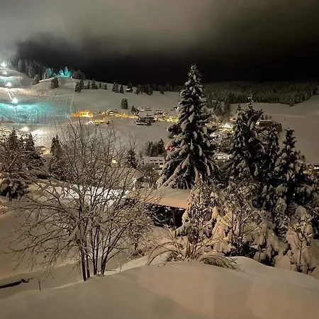 Lejlighed Gaestehaus Weilerhof - Todtnauberg