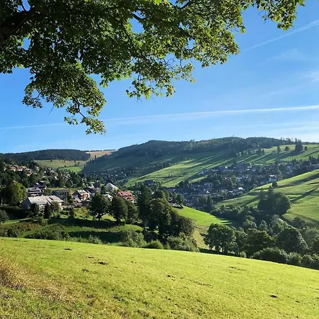 Gaestehaus Weilerhof - * Todtnauberg