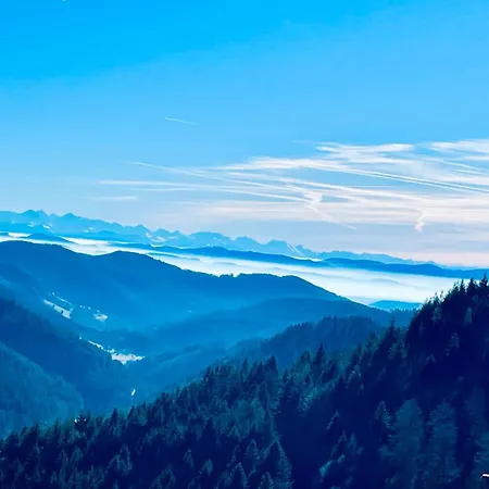 شقة Gaestehaus Weilerhof - *