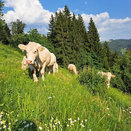 Gaestehaus Weilerhof - شقة