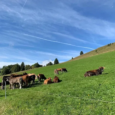 Gaestehaus Weilerhof - *