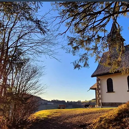 Gaestehaus Weilerhof - Тодтнауберг