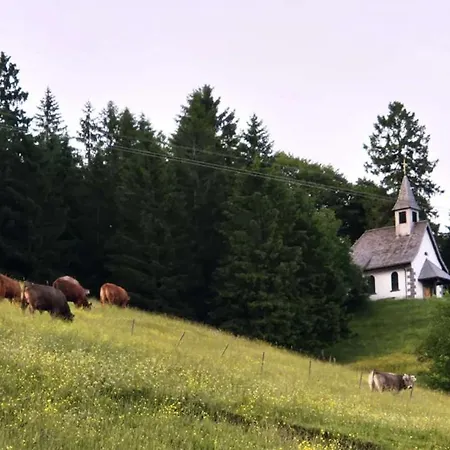 Gaestehaus Weilerhof - * Todtnauberg