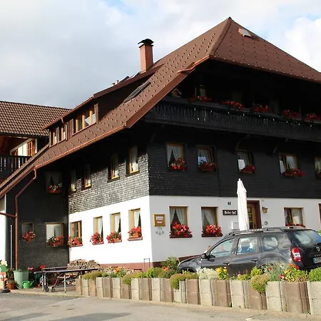 Gaestehaus Weilerhof - Todtnauberg