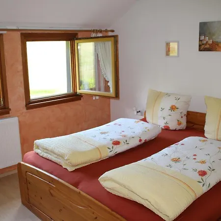 Apartment Gaestehaus Weilerhof - Todtnauberg